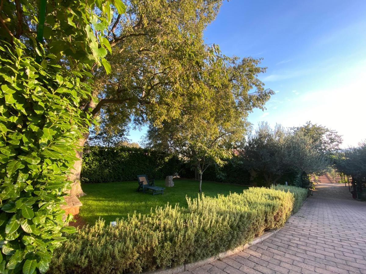 Stone Holiday Homes Stankovci With Pool And Mediterranean Gardens Zewnętrze zdjęcie